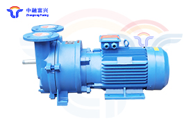 2BV water ring vacuum pump